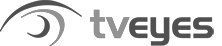 Logo of TVEyes company