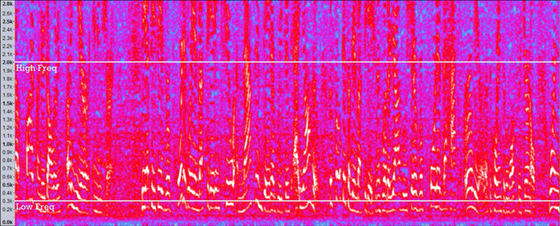 Spectrogram of a conversation. White horizontal lines outline the range used for fingerprinting [300Hz, 2000Hz]