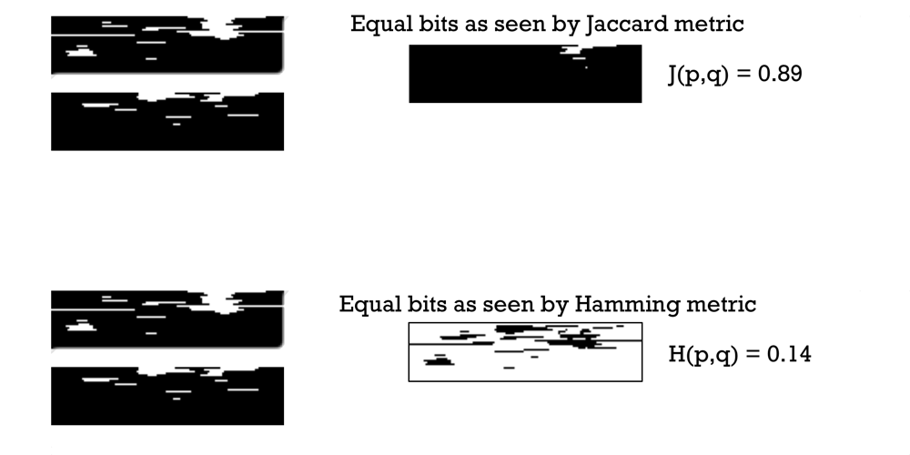 Jaccard vs Hamming distance metric. When bit-vectors are sparse Jaccard Coefficient outlines dissimilarities better.